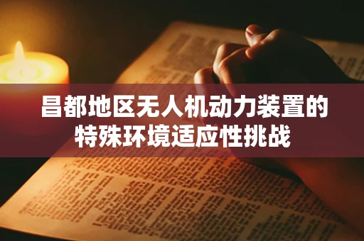 昌都地区无人机动力装置的特殊环境适应性挑战