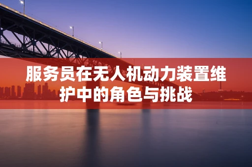 服务员在无人机动力装置维护中的角色与挑战