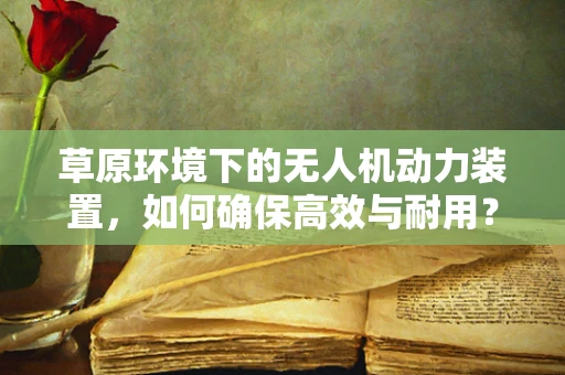 草原环境下的无人机动力装置，如何确保高效与耐用？