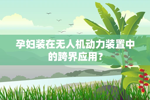 孕妇装在无人机动力装置中的跨界应用？