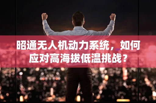 昭通无人机动力系统，如何应对高海拔低温挑战？