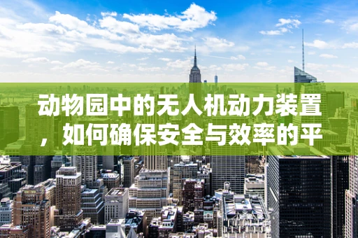 动物园中的无人机动力装置，如何确保安全与效率的平衡？