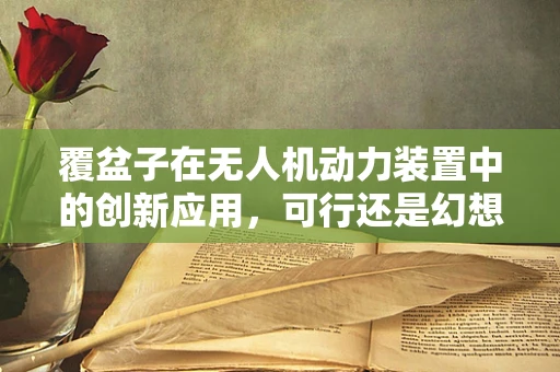 覆盆子在无人机动力装置中的创新应用，可行还是幻想？