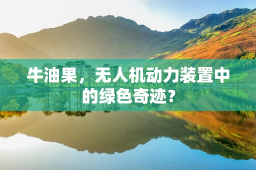 牛油果，无人机动力装置中的绿色奇迹？