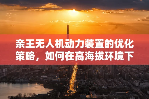 亲王无人机动力装置的优化策略，如何在高海拔环境下保持高效能？