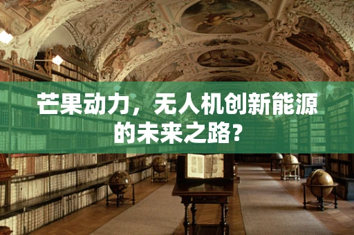 芒果动力，无人机创新能源的未来之路？