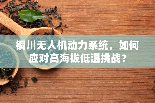 铜川无人机动力系统，如何应对高海拔低温挑战？