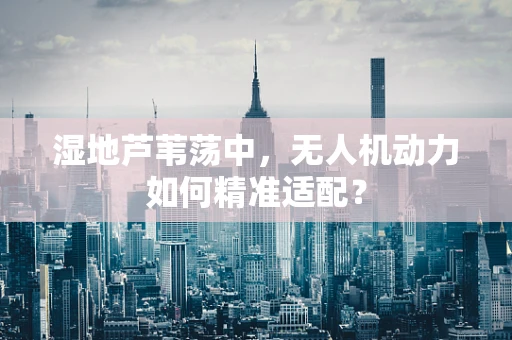 湿地芦苇荡中，无人机动力如何精准适配？