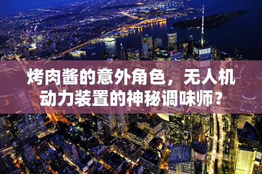 烤肉酱的意外角色，无人机动力装置的神秘调味师？