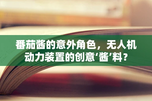 番茄酱的意外角色，无人机动力装置的创意‘酱’料？