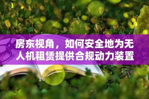 房东视角，如何安全地为无人机租赁提供合规动力装置？