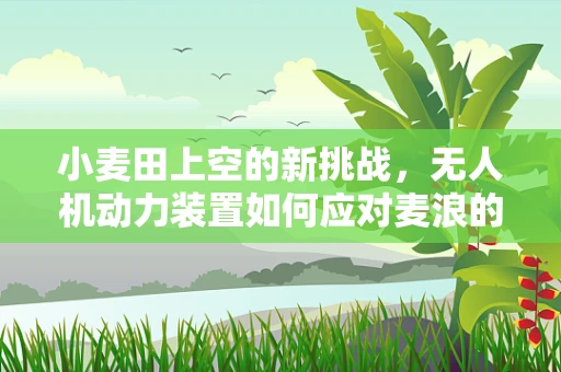 小麦田上空的新挑战，无人机动力装置如何应对麦浪的考验？