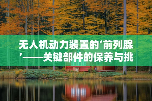 无人机动力装置的‘前列腺’——关键部件的保养与挑战