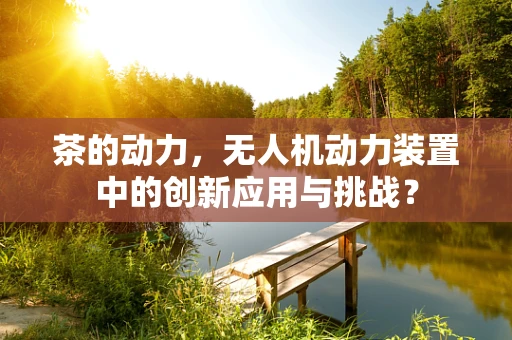 茶的动力，无人机动力装置中的创新应用与挑战？
