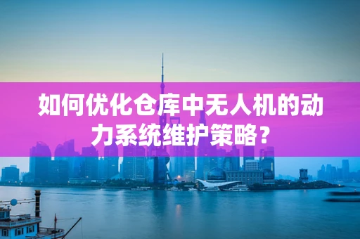如何优化仓库中无人机的动力系统维护策略？