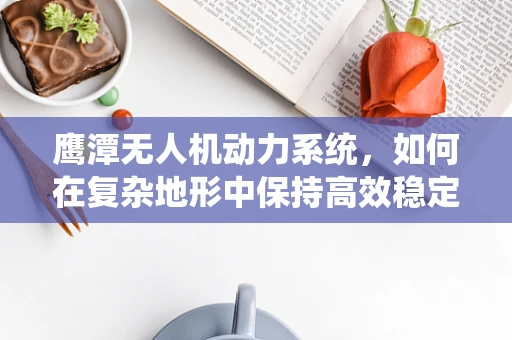 鹰潭无人机动力系统，如何在复杂地形中保持高效稳定？