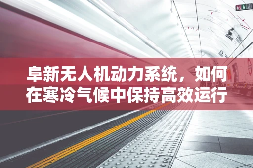 阜新无人机动力系统，如何在寒冷气候中保持高效运行？
