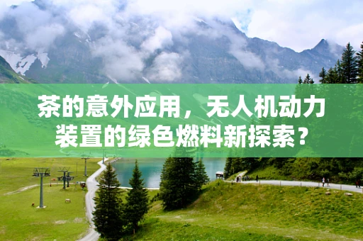 茶的意外应用，无人机动力装置的绿色燃料新探索？