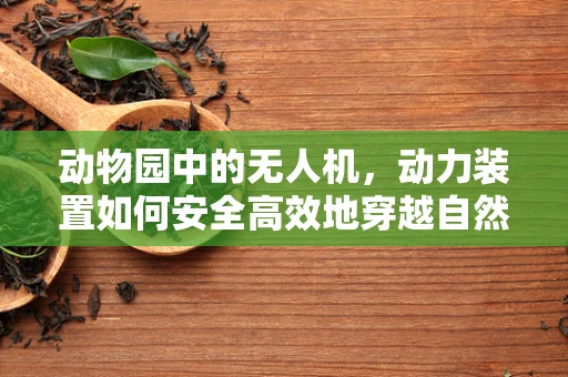 动物园中的无人机，动力装置如何安全高效地穿越自然环境？