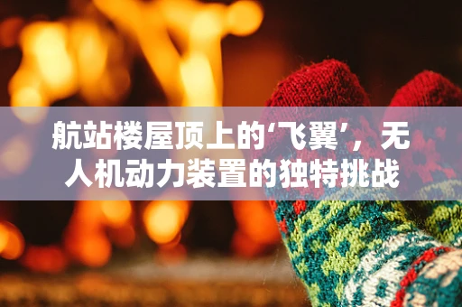 航站楼屋顶上的‘飞翼’，无人机动力装置的独特挑战