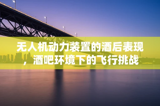 无人机动力装置的酒后表现，酒吧环境下的飞行挑战