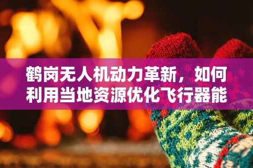 鹤岗无人机动力革新，如何利用当地资源优化飞行器能源效率？