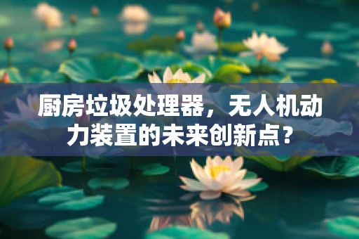 厨房垃圾处理器，无人机动力装置的未来创新点？