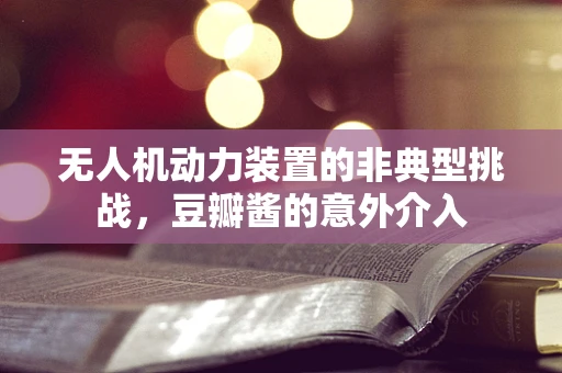 无人机动力装置的非典型挑战，豆瓣酱的意外介入