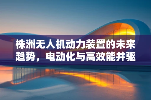 株洲无人机动力装置的未来趋势，电动化与高效能并驱？