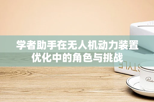 学者助手在无人机动力装置优化中的角色与挑战