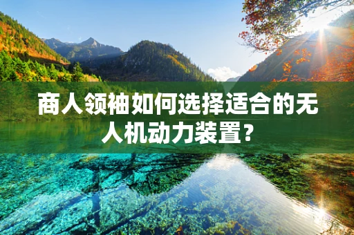 商人领袖如何选择适合的无人机动力装置？