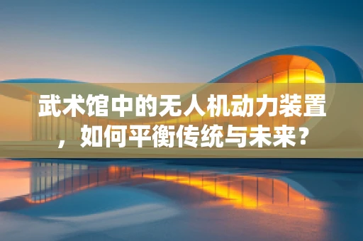 武术馆中的无人机动力装置，如何平衡传统与未来？