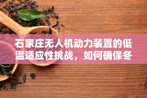石家庄无人机动力装置的低温适应性挑战，如何确保冬季飞行安全？