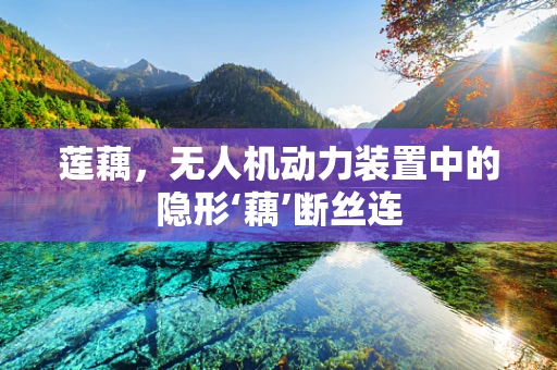 莲藕，无人机动力装置中的隐形‘藕’断丝连