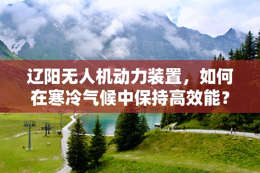 辽阳无人机动力装置，如何在寒冷气候中保持高效能？