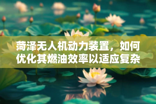 菏泽无人机动力装置，如何优化其燃油效率以适应复杂地形飞行？
