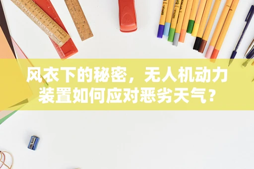 风衣下的秘密，无人机动力装置如何应对恶劣天气？