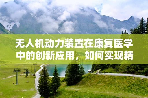 无人机动力装置在康复医学中的创新应用，如何实现精准康复的空中飞跃？