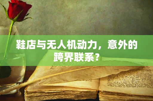鞋店与无人机动力，意外的跨界联系？