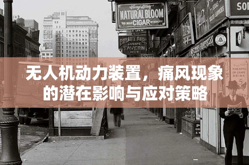 无人机动力装置，痛风现象的潜在影响与应对策略