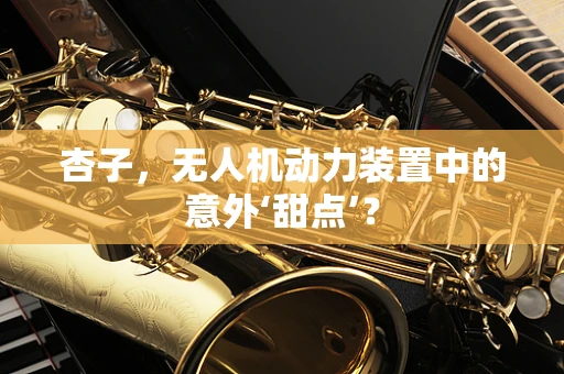 杏子，无人机动力装置中的意外‘甜点’？
