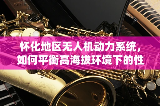 怀化地区无人机动力系统，如何平衡高海拔环境下的性能与效率？