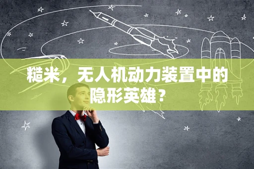 糙米，无人机动力装置中的隐形英雄？