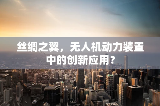 丝绸之翼，无人机动力装置中的创新应用？