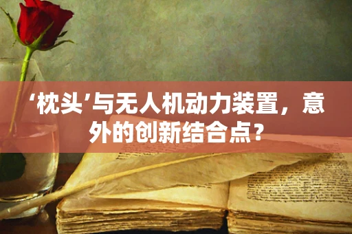 ‘枕头’与无人机动力装置，意外的创新结合点？