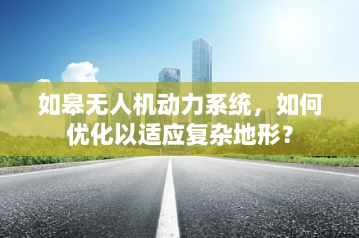 如皋无人机动力系统，如何优化以适应复杂地形？