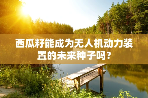 西瓜籽能成为无人机动力装置的未来种子吗？