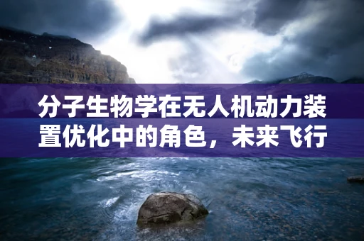分子生物学在无人机动力装置优化中的角色，未来飞行的新动力？