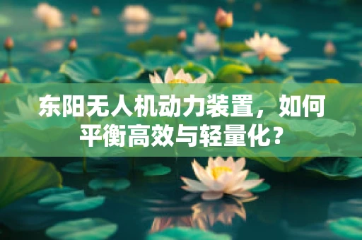 东阳无人机动力装置，如何平衡高效与轻量化？