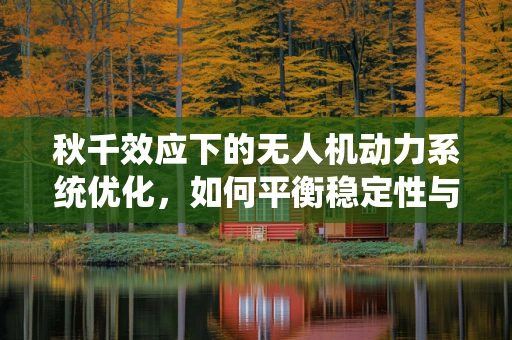 秋千效应下的无人机动力系统优化，如何平衡稳定性与灵活性？